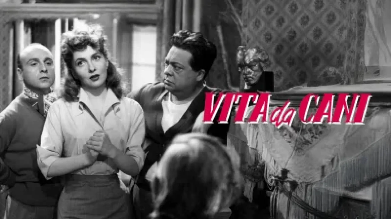 Vita da cani streaming ita
