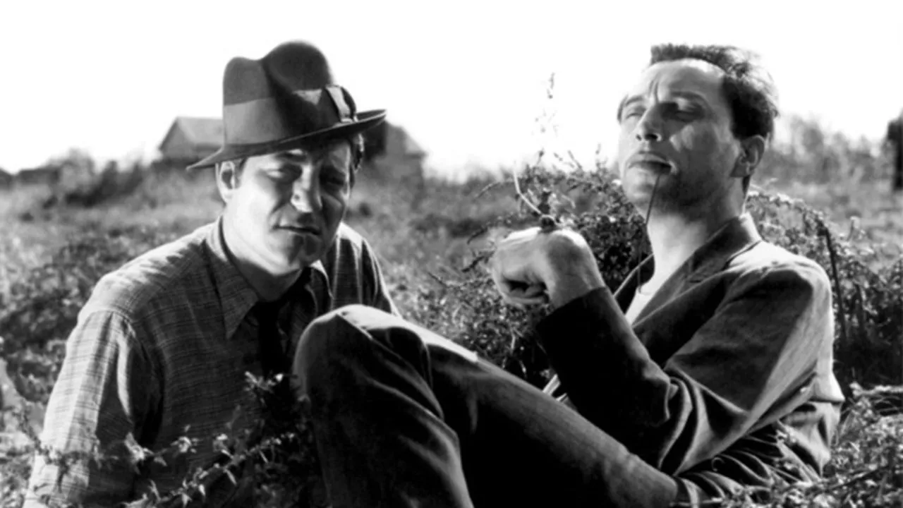 Verso la vita streaming ita