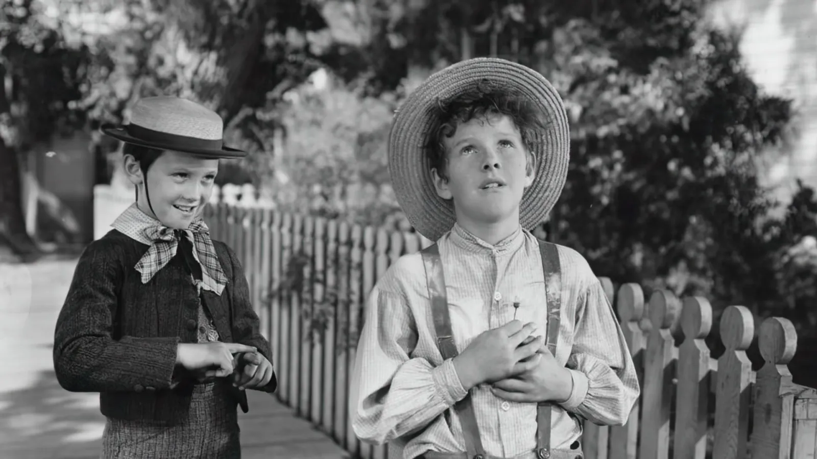 Le avventure di Tom Sawyer streaming ita