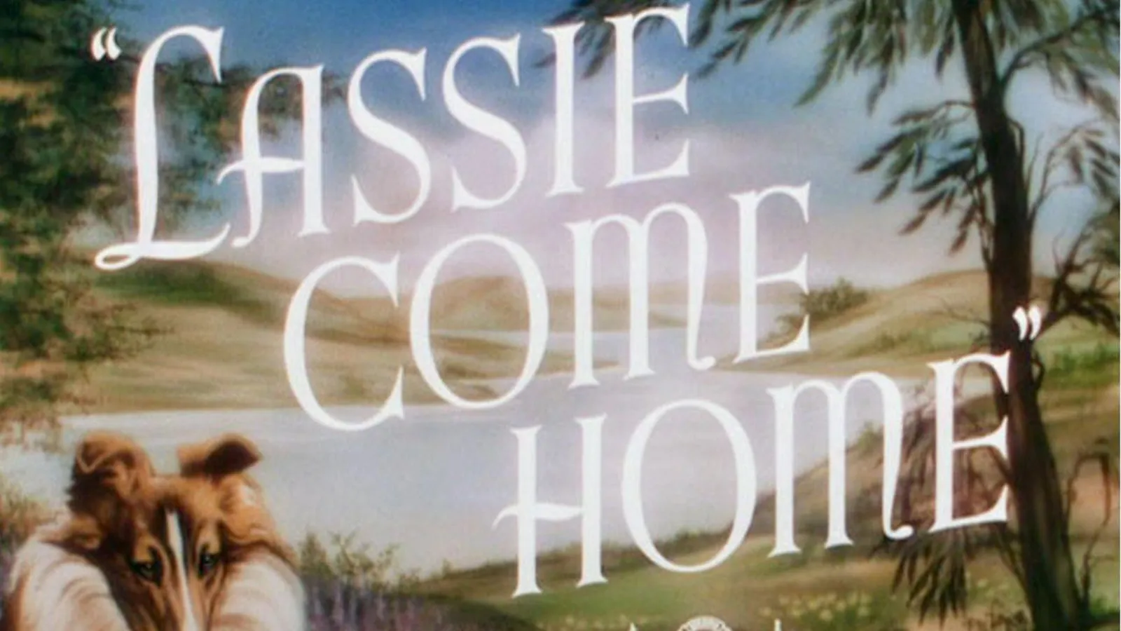 Torna a casa Lassie! streaming ita