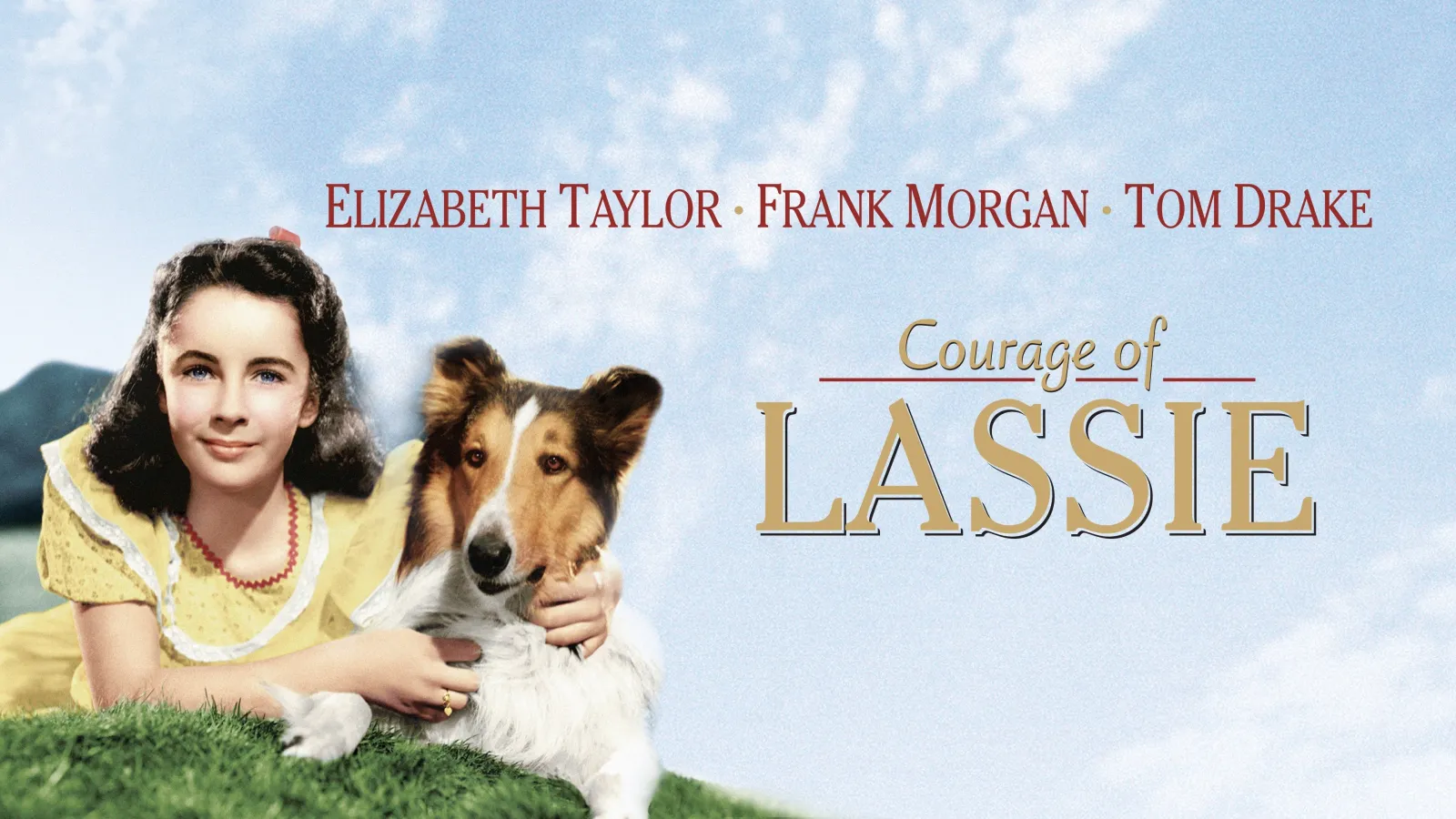 Il coraggio di Lassie streaming ita