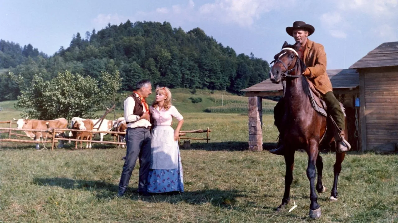 Tre dollari di piombo streaming ita