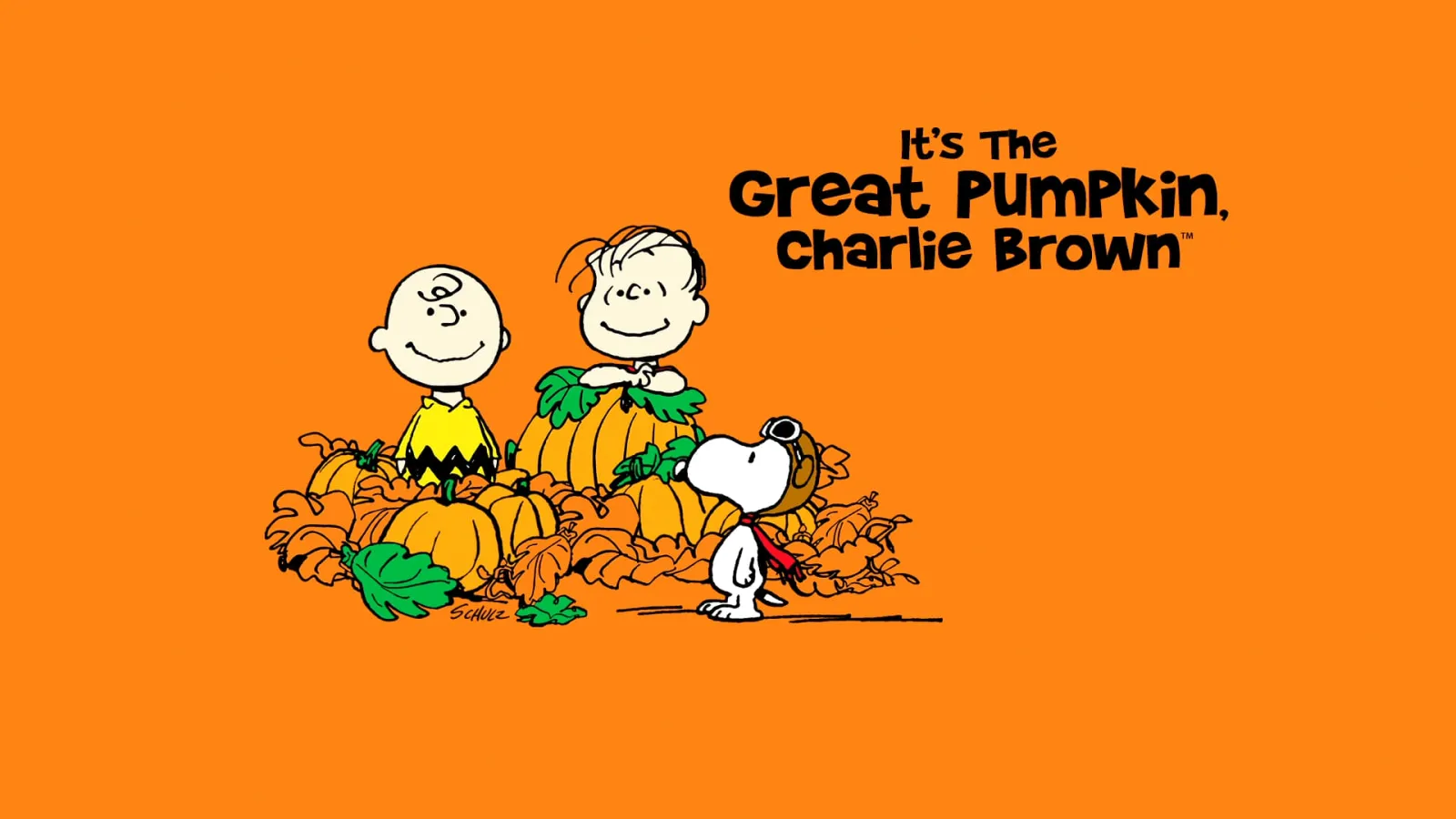IL GRANDE COCOMERO, CHARLIE BROWN streaming ita