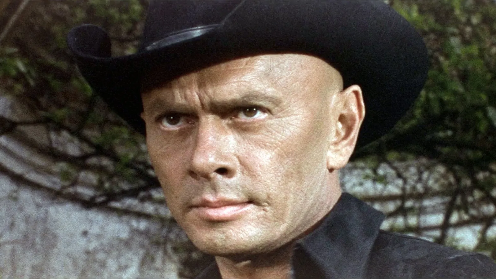 Indio Black, sai che ti dico: Sei un gran figlio di… streaming ita