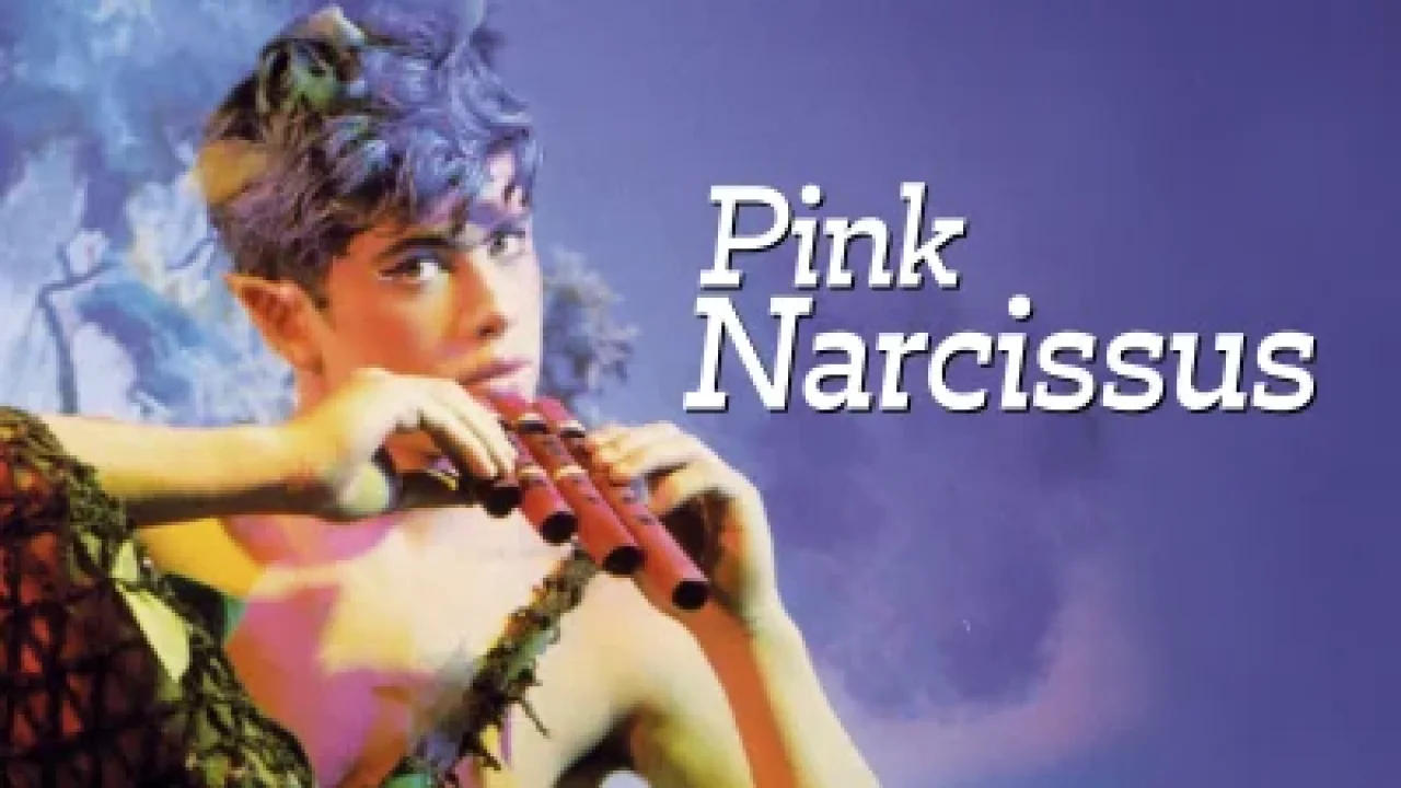 Pink Narcissus streaming ita