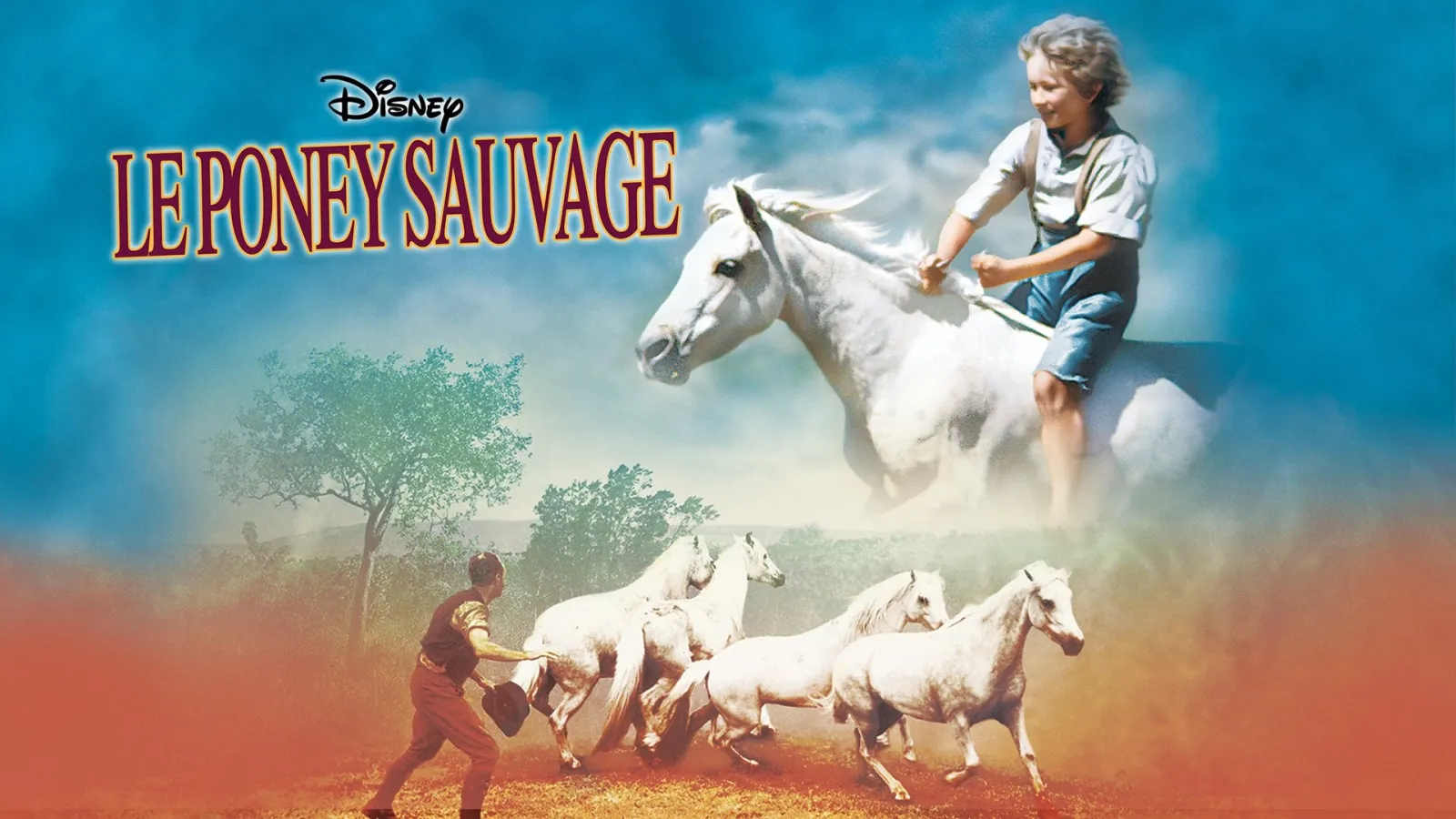 A cavallo di un pony selvaggio streaming ita