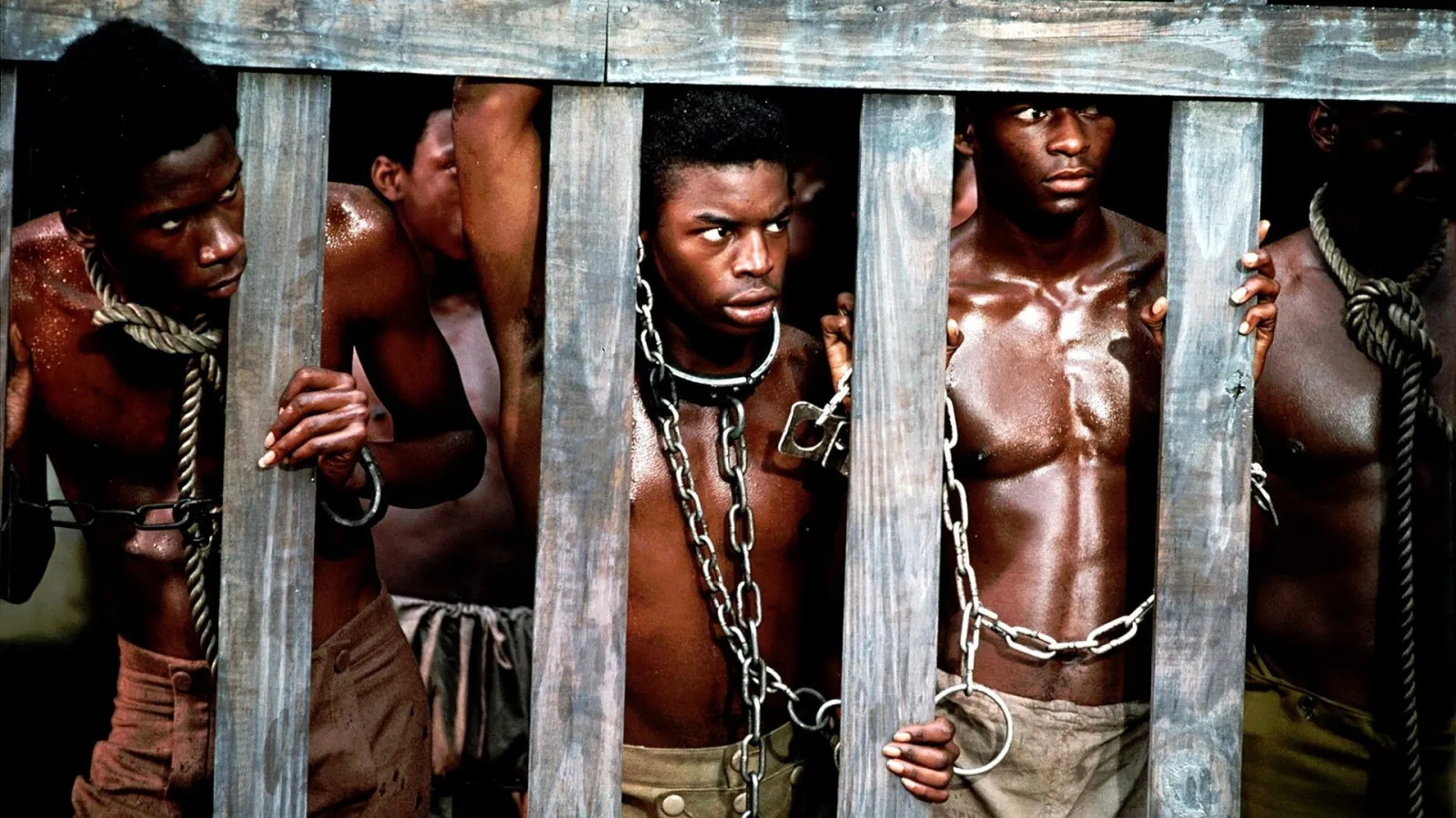 Radici (1977) streaming ita