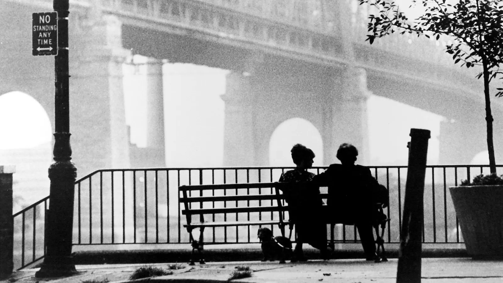 Manhattan streaming ita