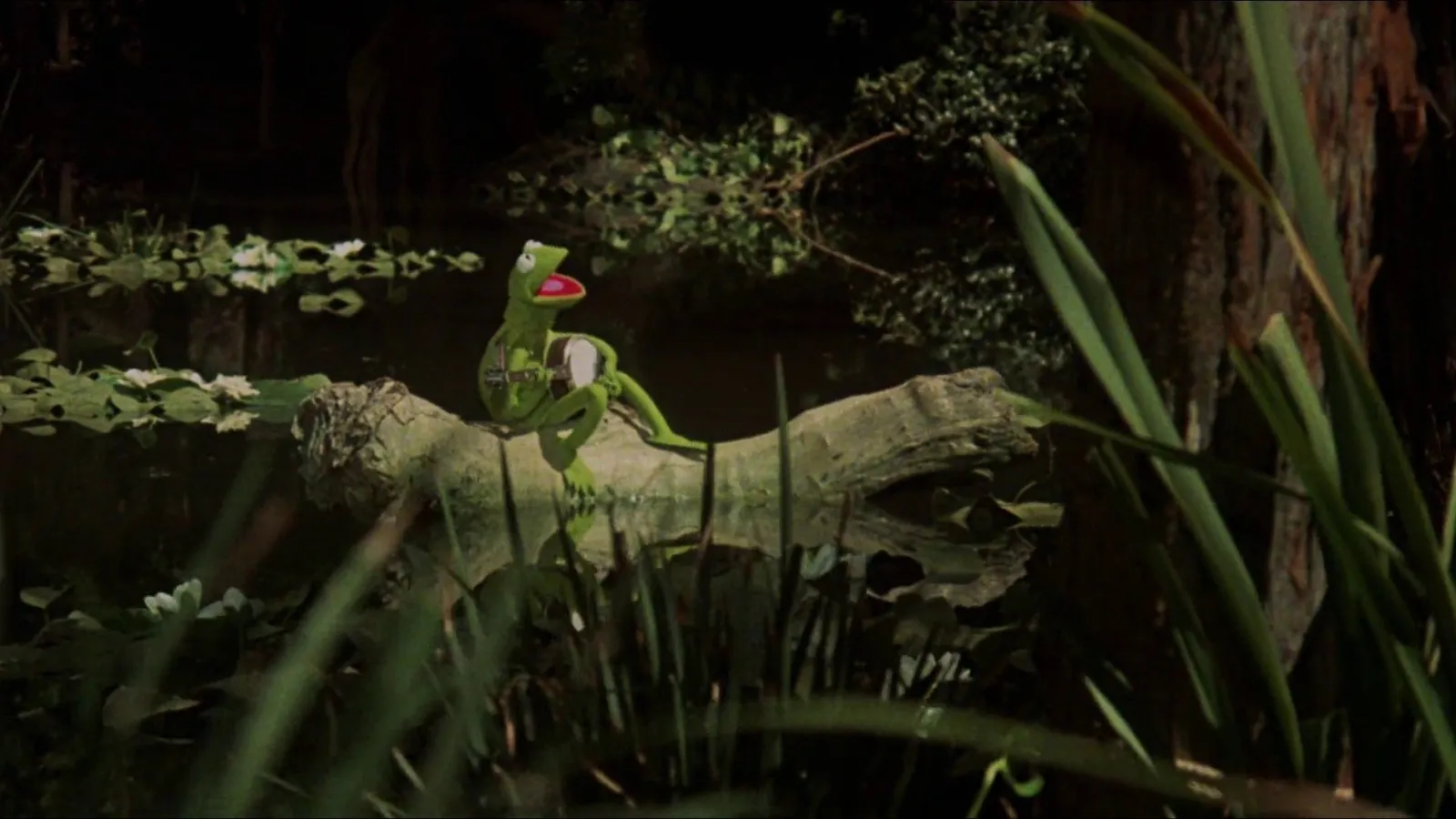 Ecco il film dei Muppet streaming ita