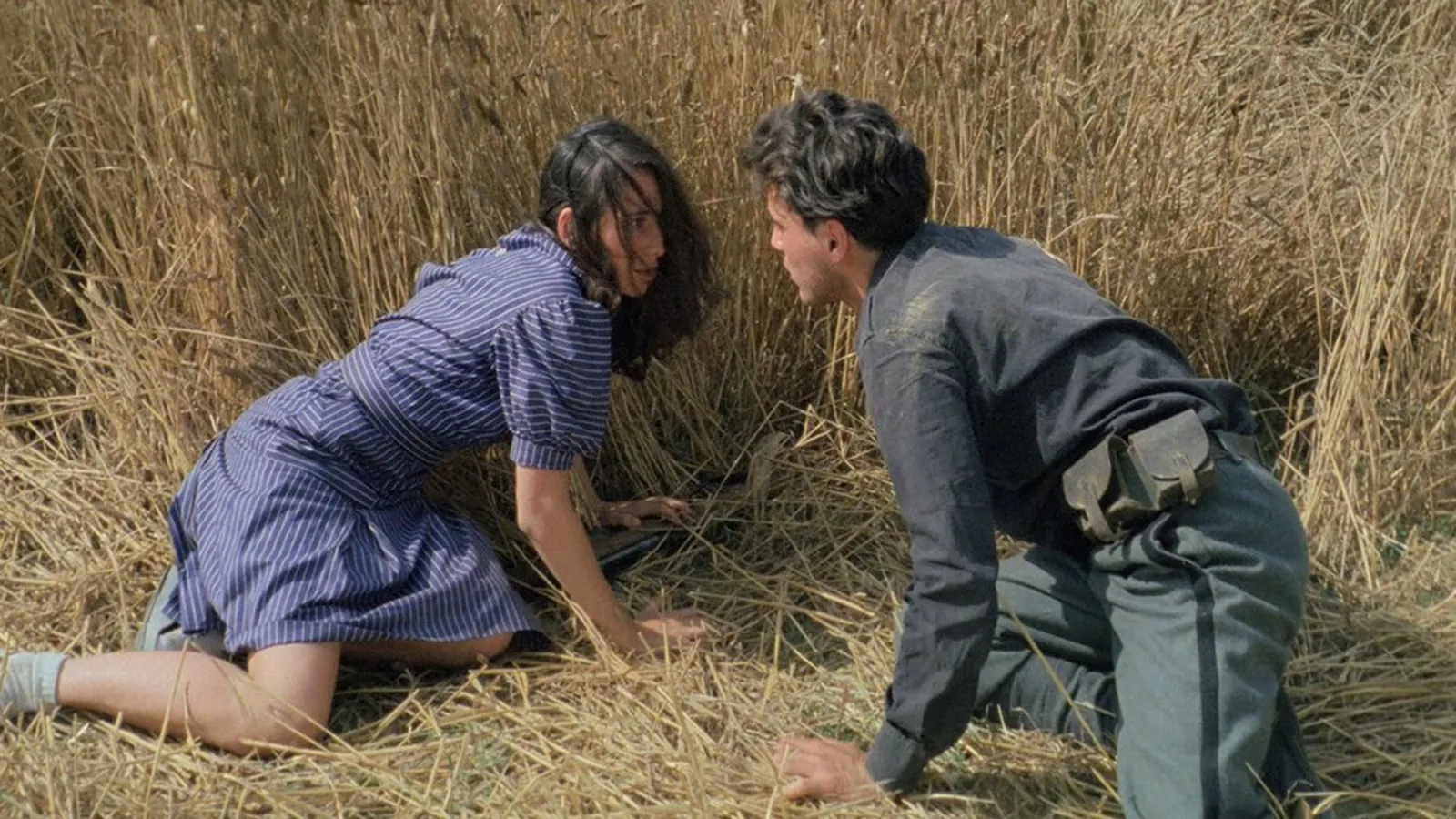 La Notte di San Lorenzo streaming ita