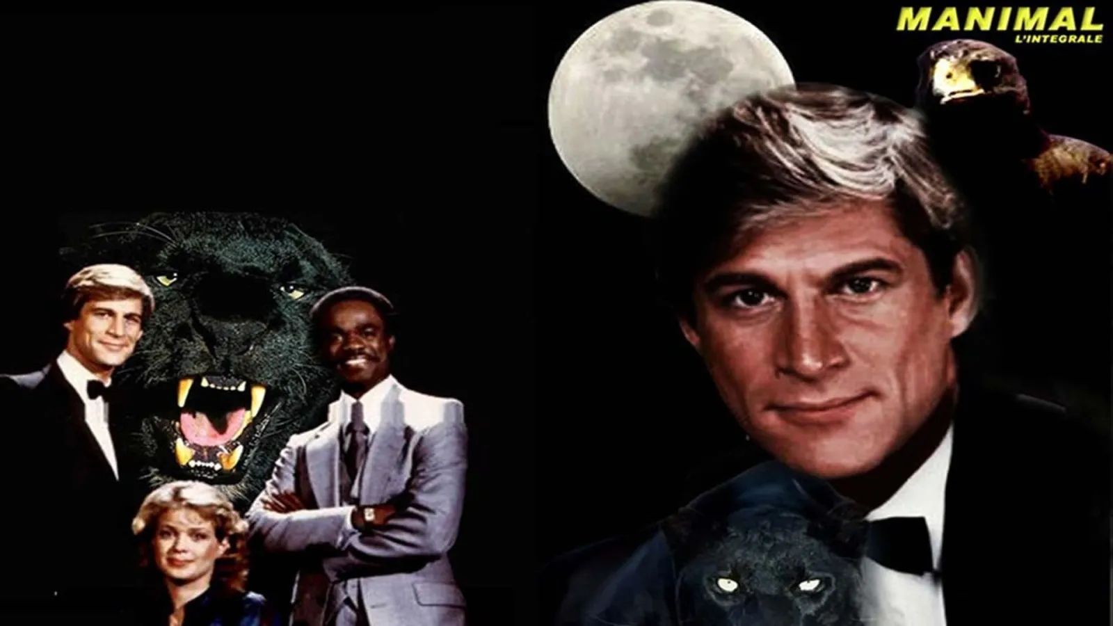 Manimal streaming ita