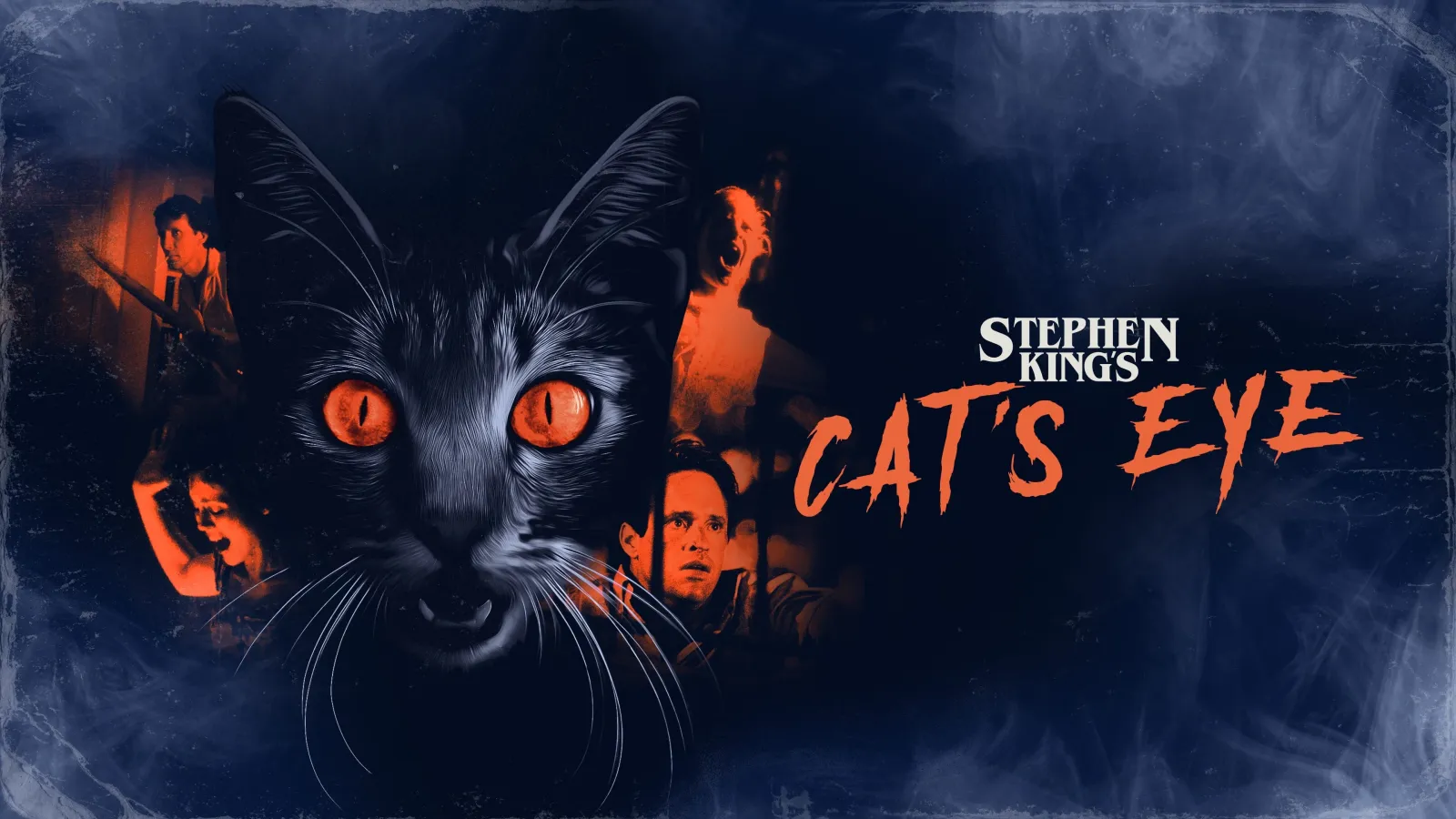 L'occhio del gatto streaming ita