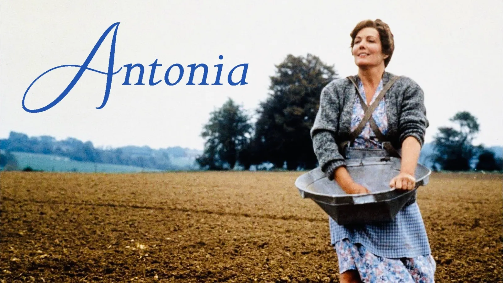 L'albero di Antonia streaming ita