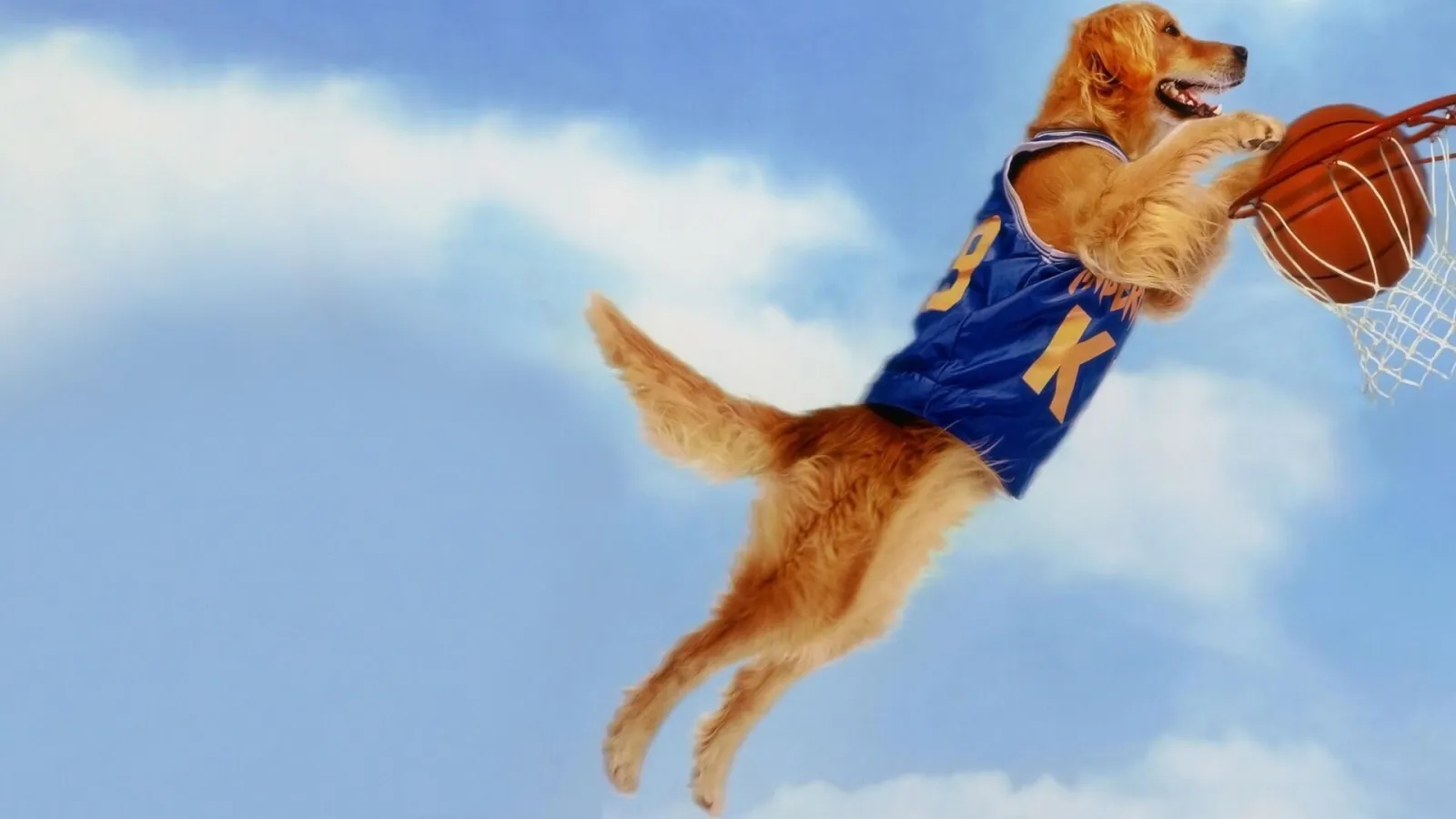 Air Bud - Campione a quattro zampe streaming ita