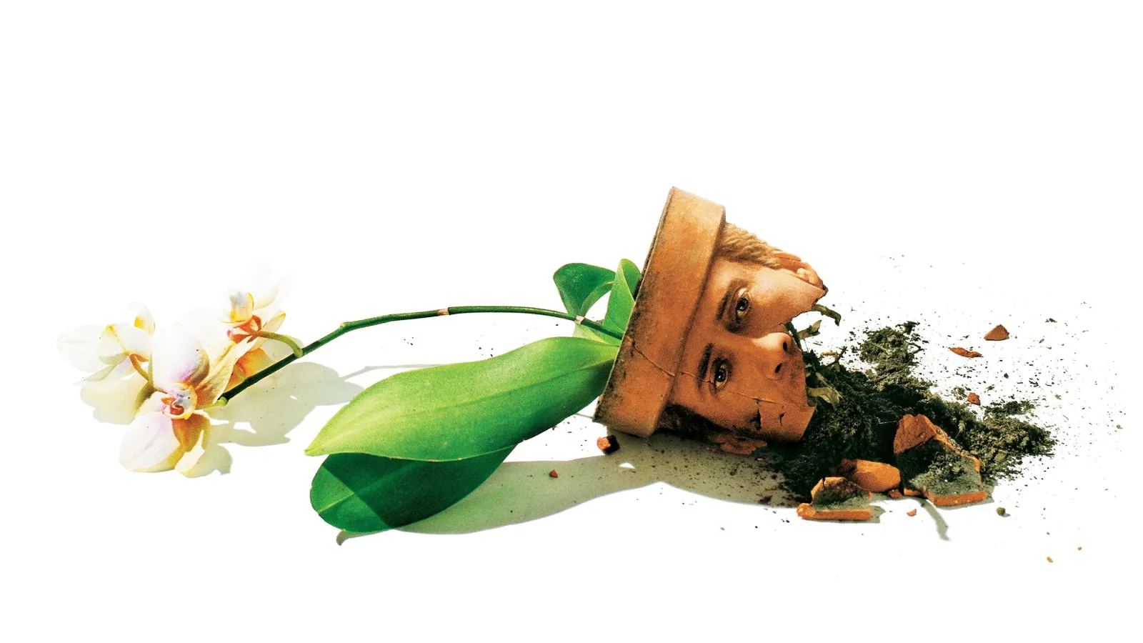 Il ladro di orchidee streaming ita
