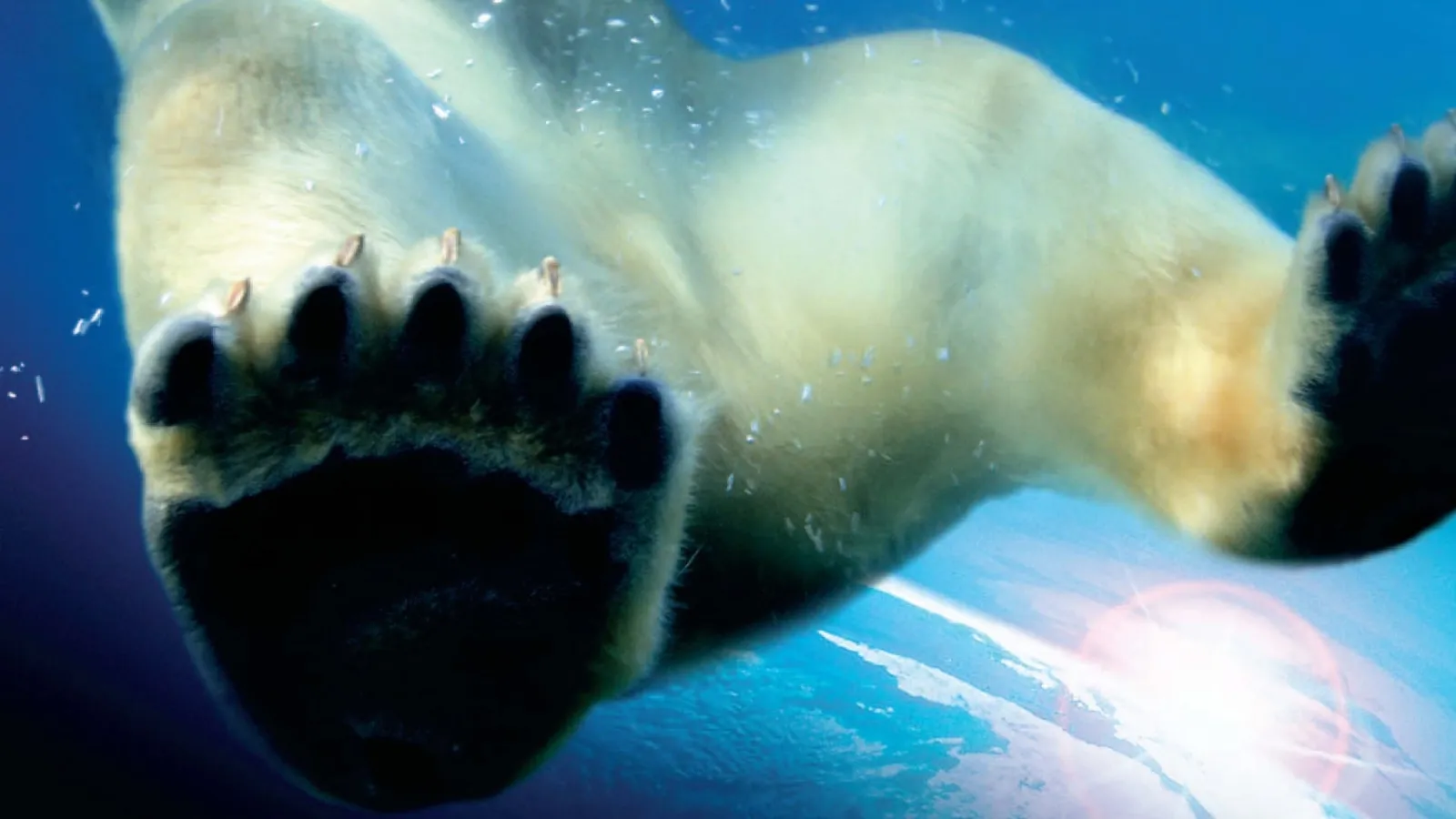 Earth - La nostra terra streaming ita