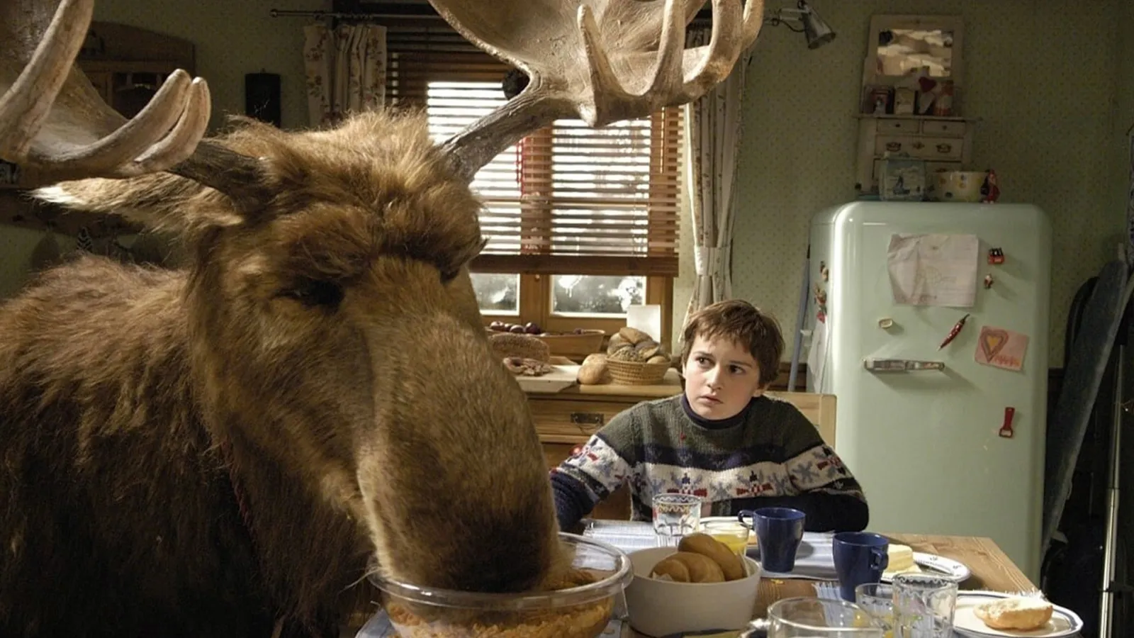 Moose - Un Alce In Famiglia streaming ita