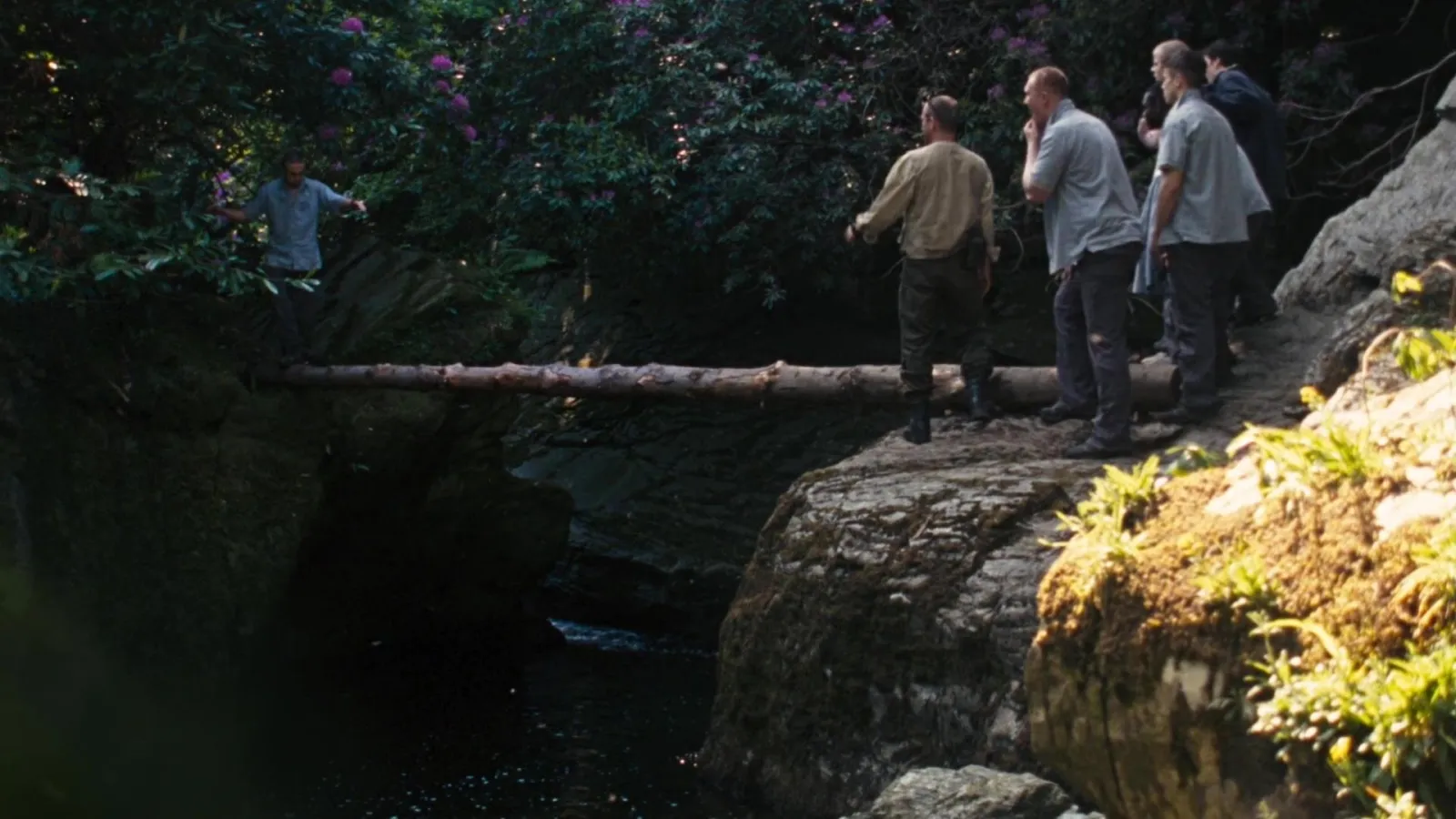 Wilderness streaming ita