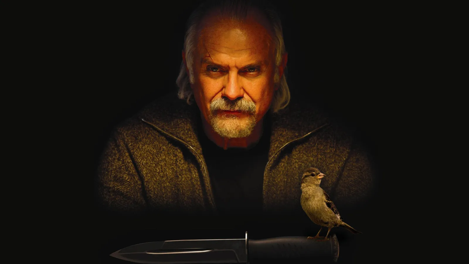 12 (2007) streaming ita
