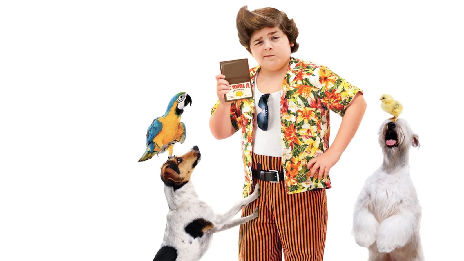 Ace Ventura 3 streaming ita