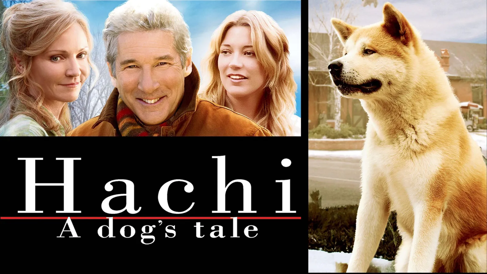 Hachiko - Il tuo migliore amico streaming ita
