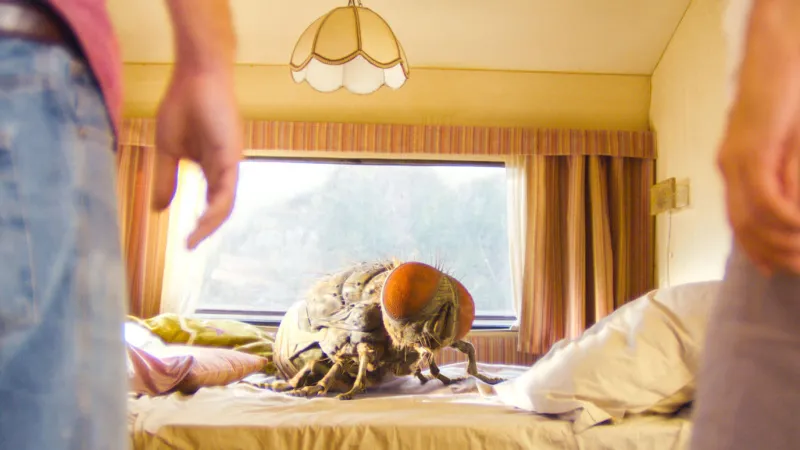 Mandibules - Due uomini e una mosca streaming ita