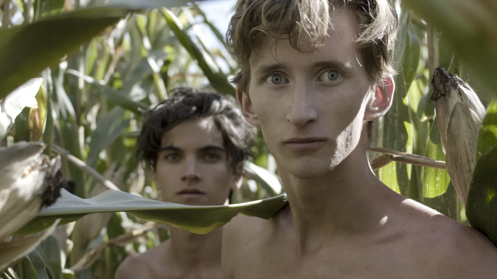 In un futuro aprile: Il giovane Pasolini streaming ita