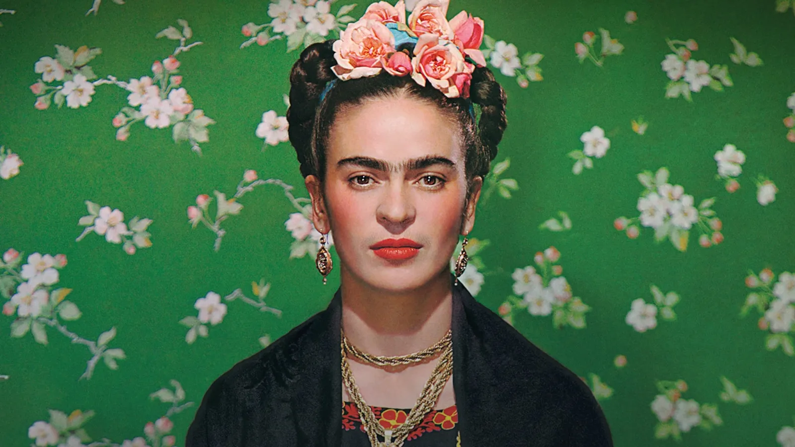 Frida: Viva la Vida streaming ita
