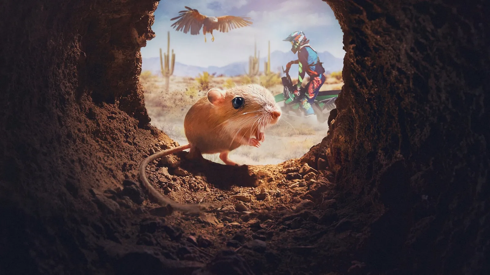 Piccole Creature streaming ita
