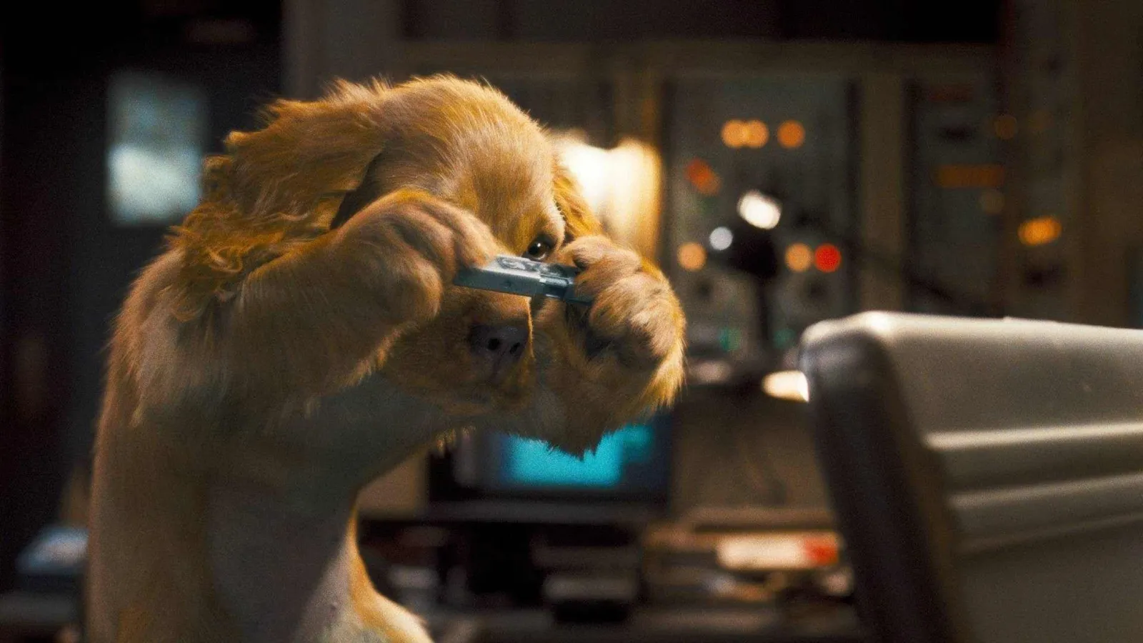 Cani e gatti - La vendetta di Kitty streaming ita