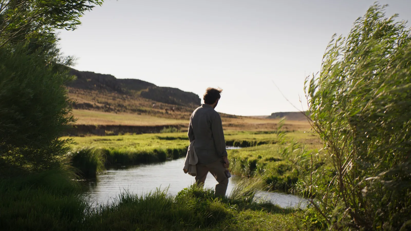 Racconto di due stagioni streaming ita