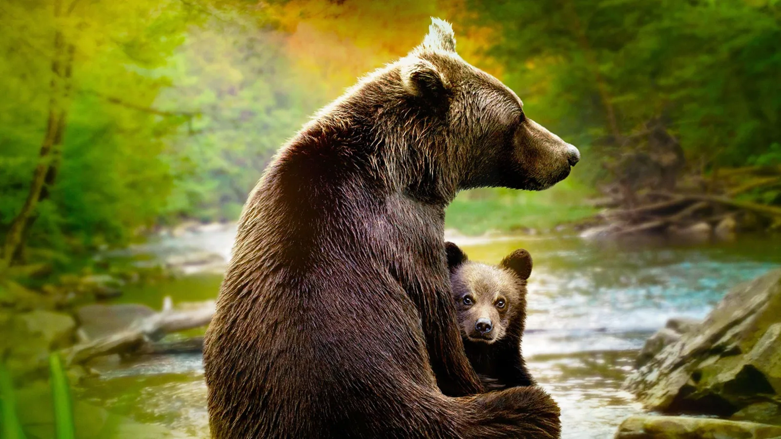 Vita da cucciolo streaming ita
