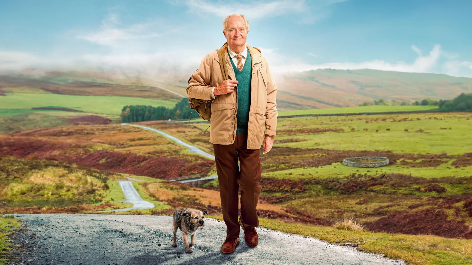 L'imprevedibile viaggio di Harold Fry streaming ita