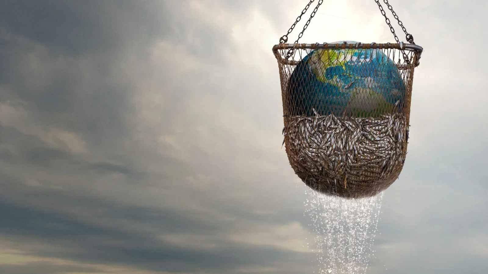 Seaspiracy - esiste la pesca sostenibile? streaming ita