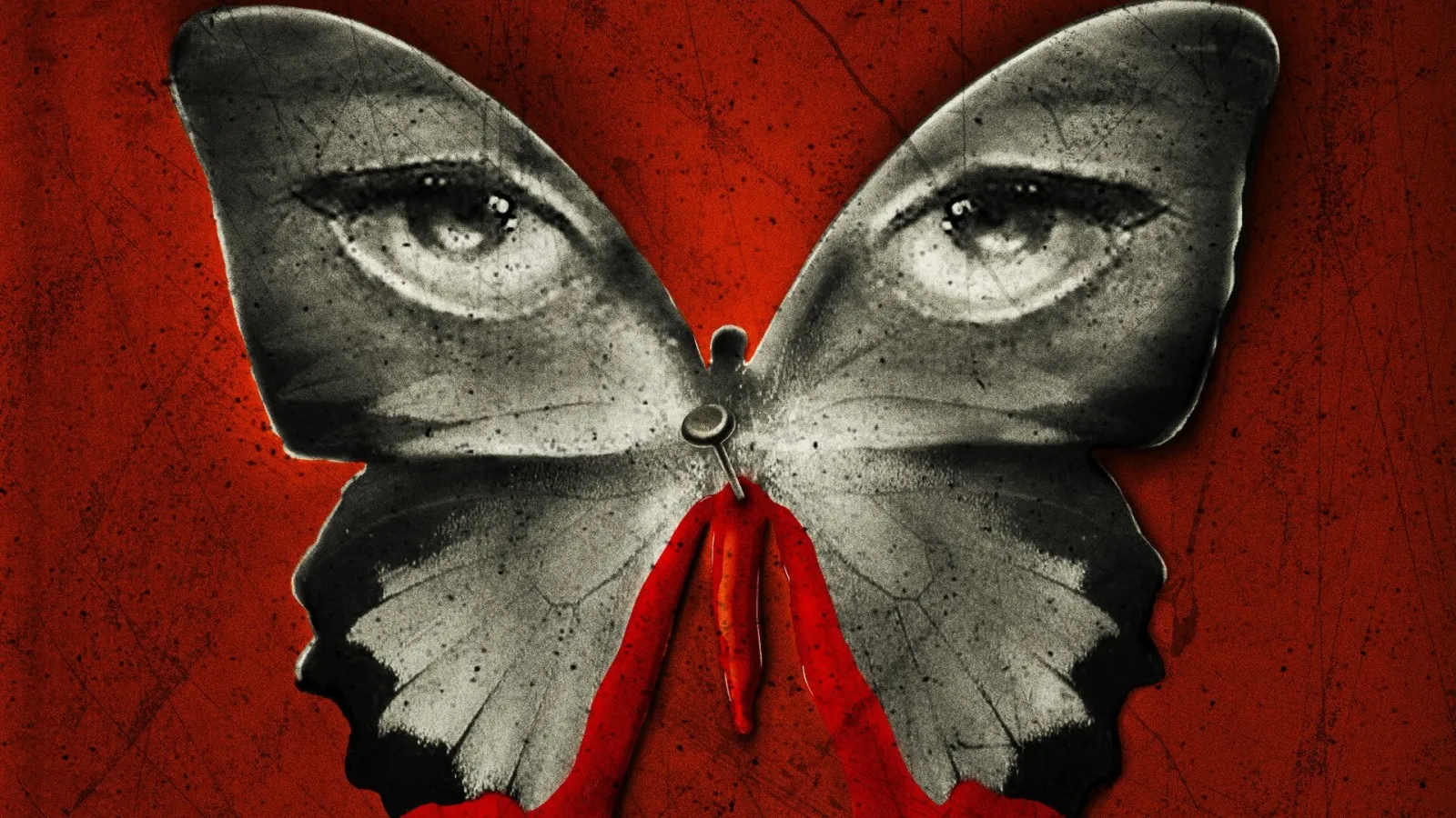 The Butterfly Room - La stanza delle farfalle streaming ita