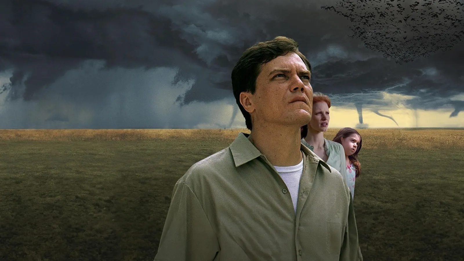 Take Shelter streaming ita
