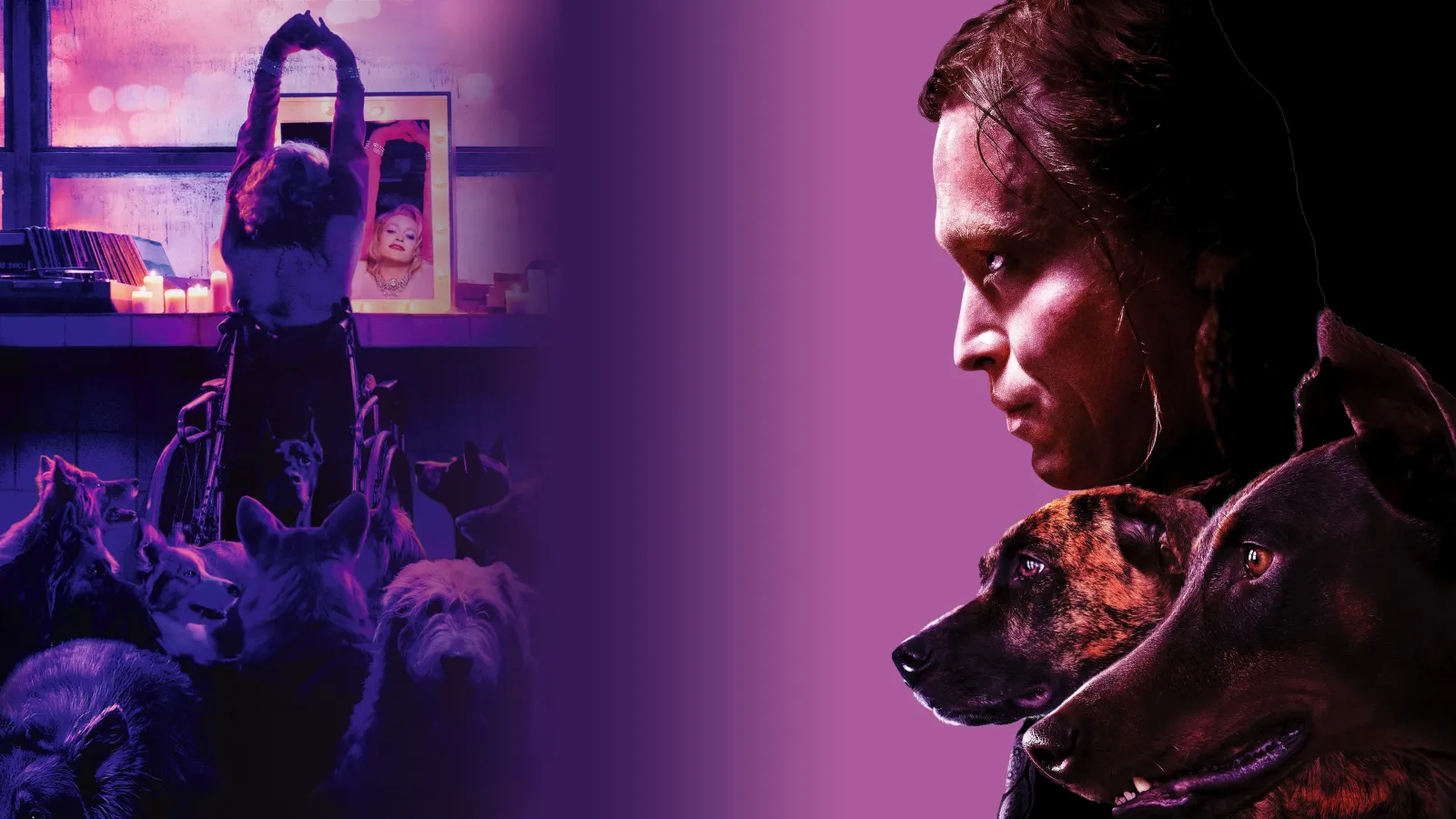 DogMan streaming ita