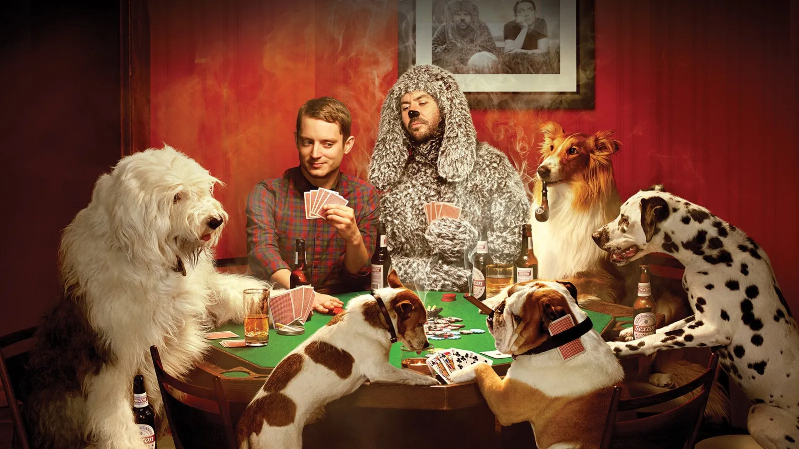 Wilfred streaming ita