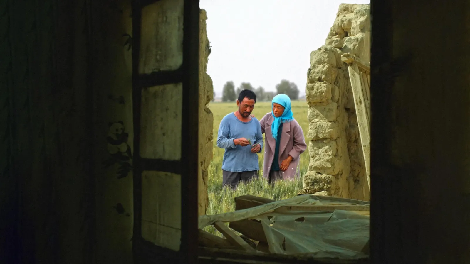 Terra e polvere streaming ita
