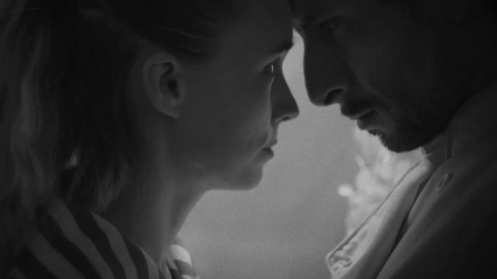 Aragoste a Manhattan streaming ita