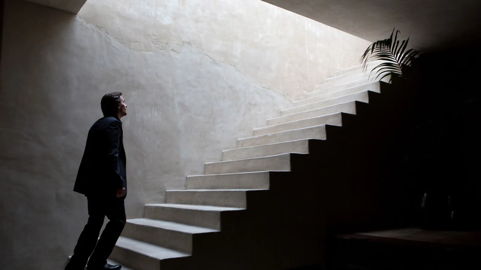 Knight of Cups streaming ita