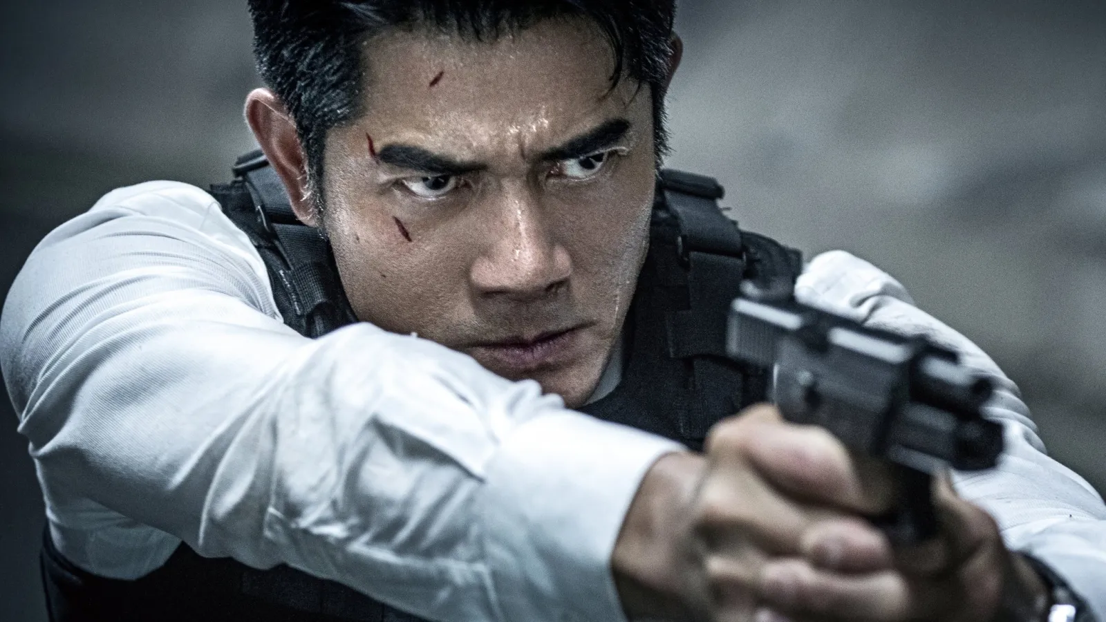 Cold War (2012) streaming ita