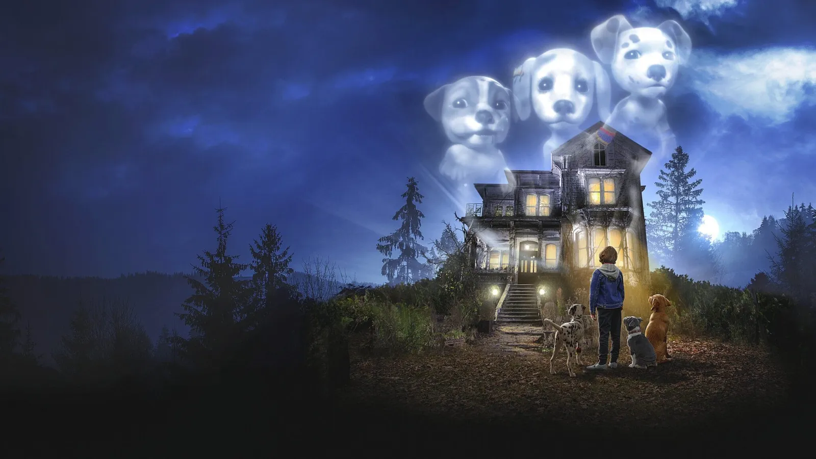 Phantom Pups - Cuccioli fantasma streaming ita
