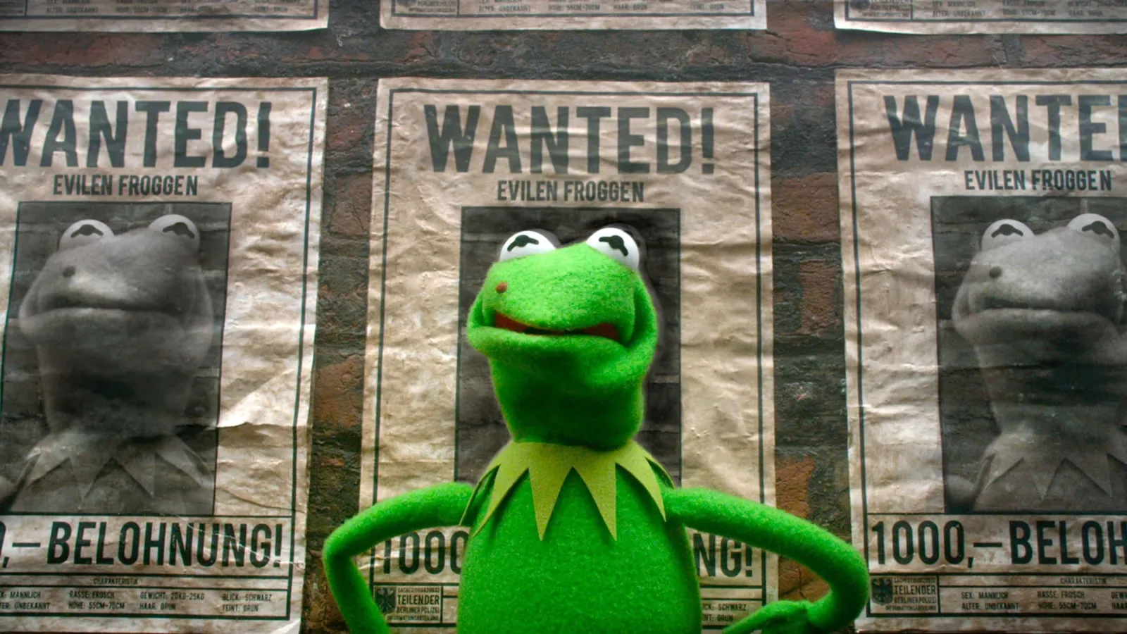 Muppets 2 - Ricercati streaming ita