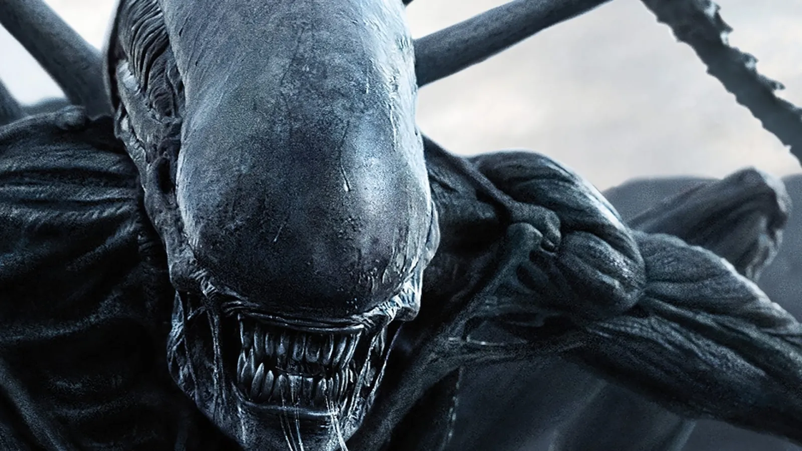Alien: Covenant streaming ita