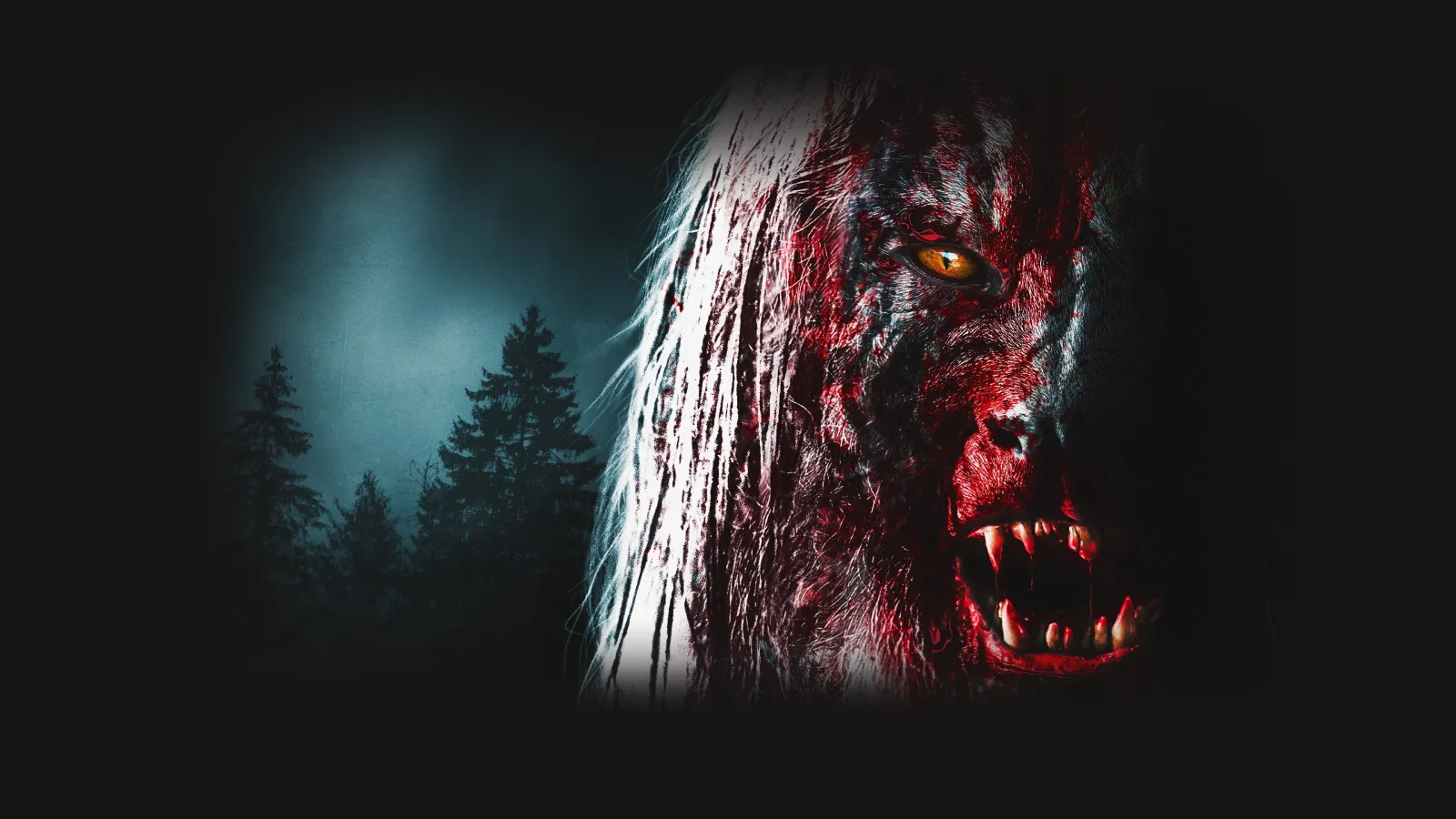 Howl streaming ita