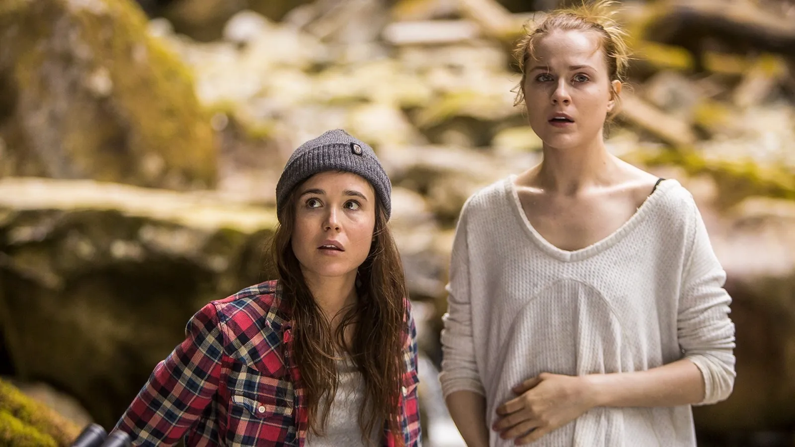 Into the Forest streaming ita