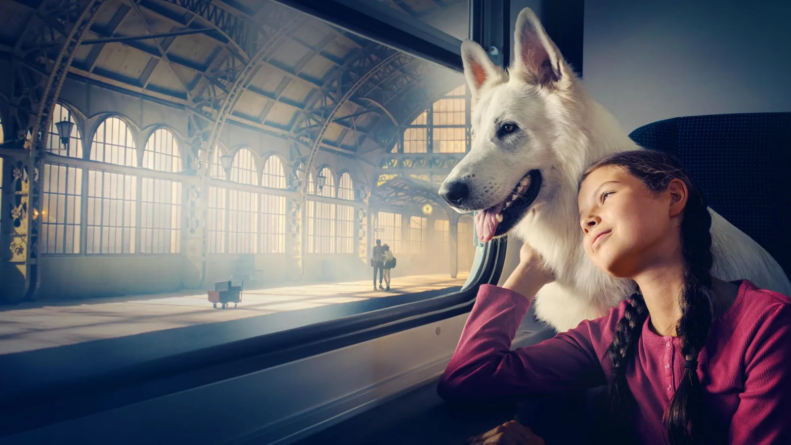 Lampo il cane viaggiatore streaming ita