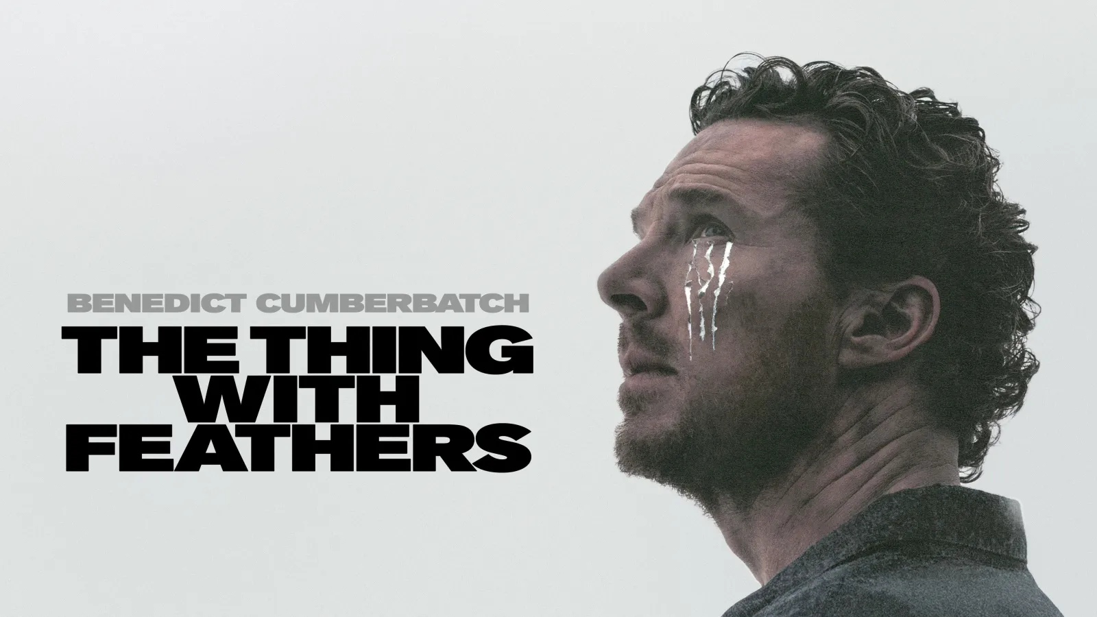 L'ombra del corvo streaming ita