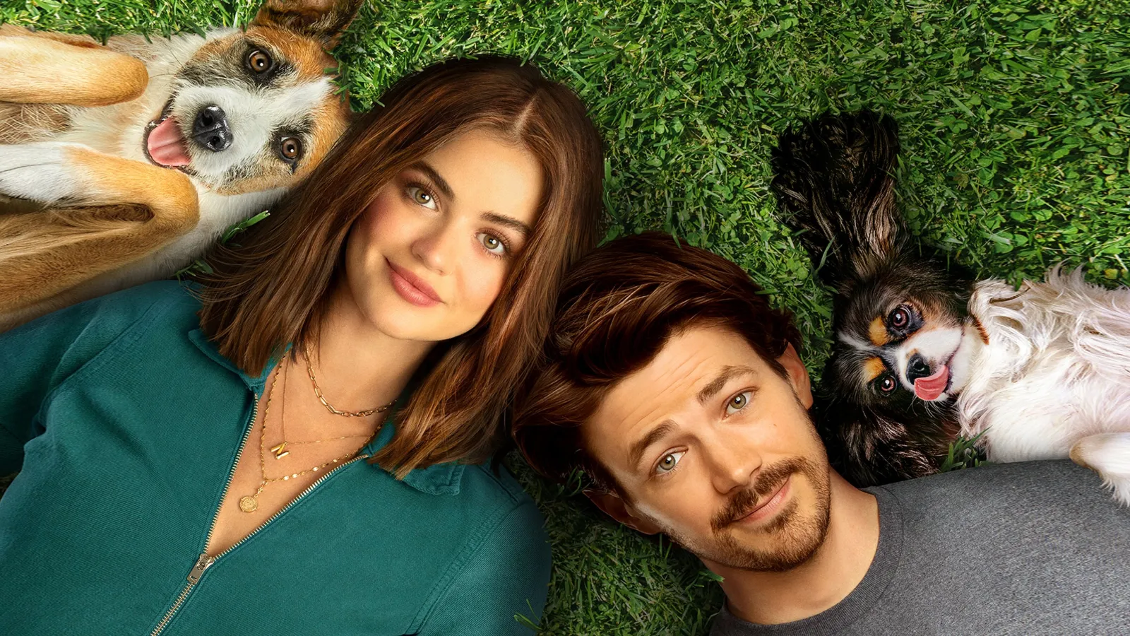 Una famiglia di cuccioli streaming ita
